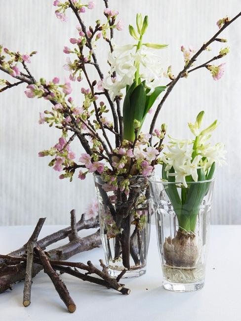 gałązki kwitnącej jabłoni w wazonie z hiacyntami