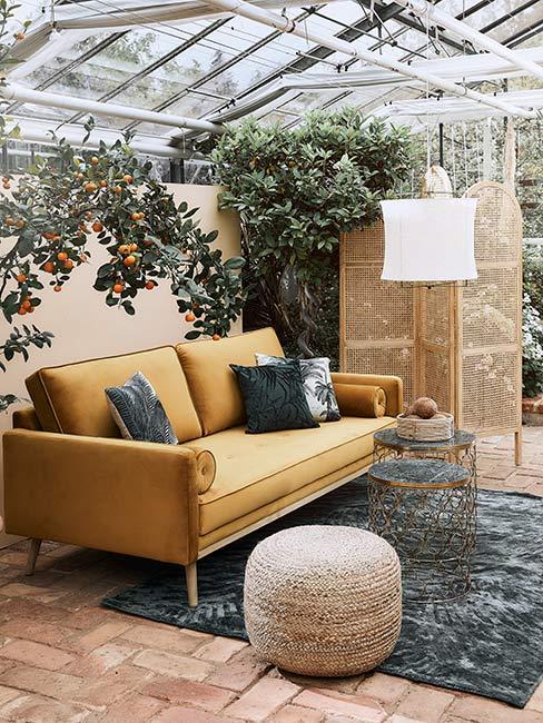 żółta sofa z aksamitu w oranżerii