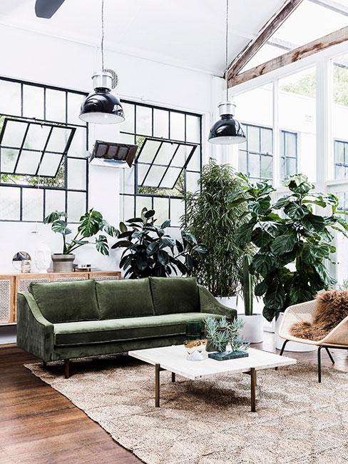 Kwiaty do nowoczesnego wnętrza