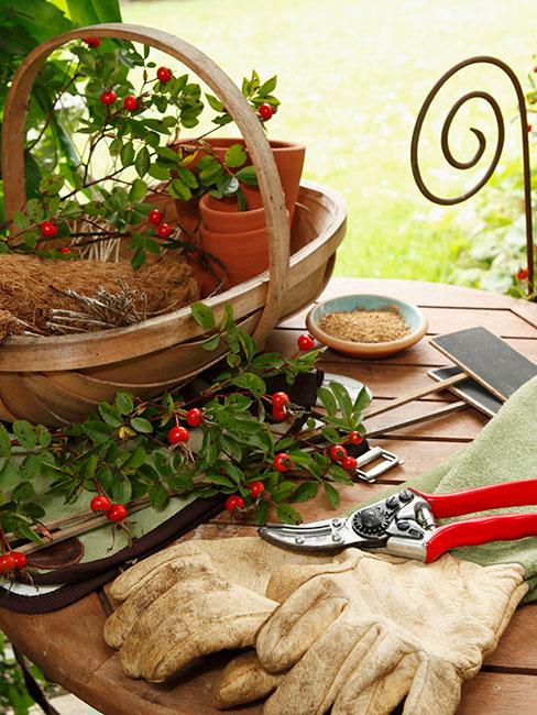 akcesoria ogrodnicze na stole w ogrodzie przed domem