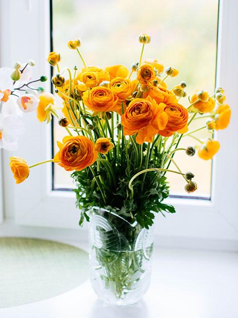 Żółte jaskry w wazonie