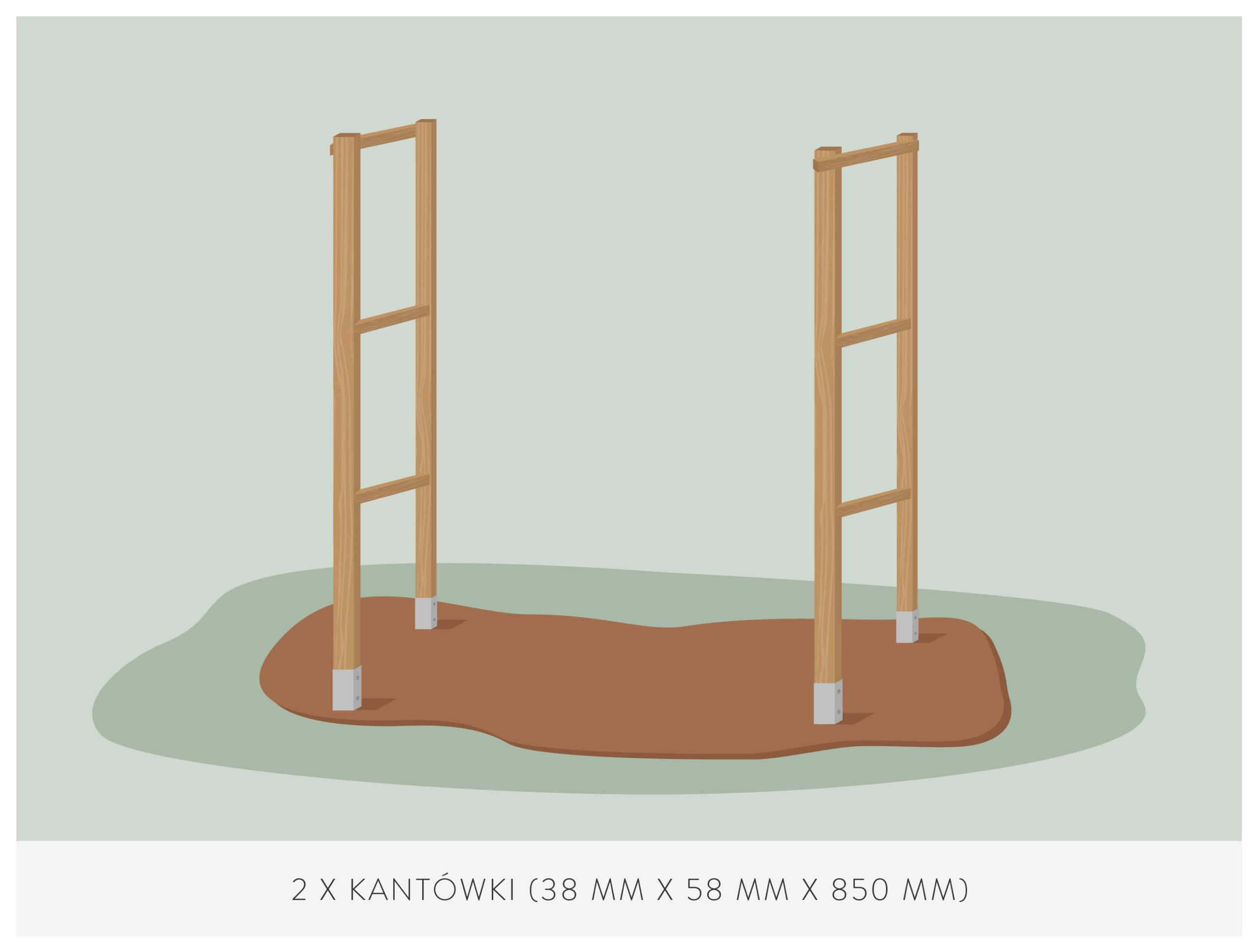 jak sadzić pomidory pod daszkiem krok po kroku