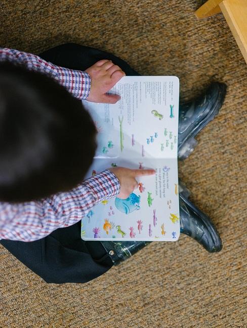 Dziecko przeglądające obrazki w bajce