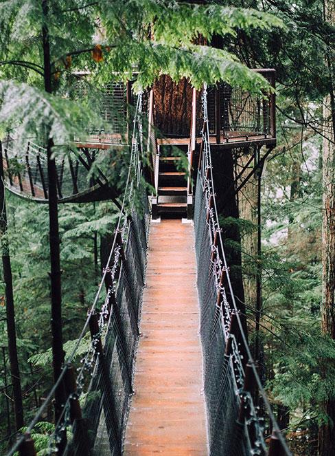 most wiszący w domku na drzewie w lesie