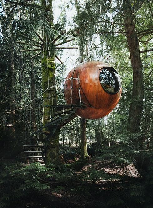 okrągły domek na drzewie w lesie
