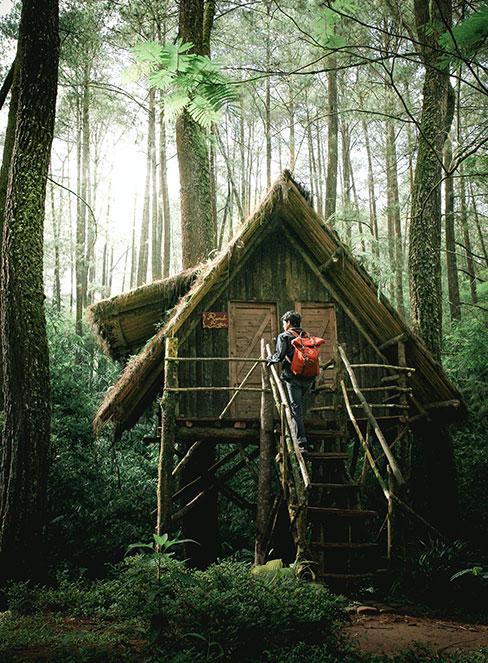 chłopiec wchodzący do domku na drzewie w lesie