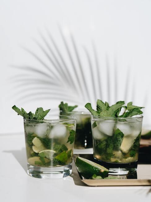 Mojito