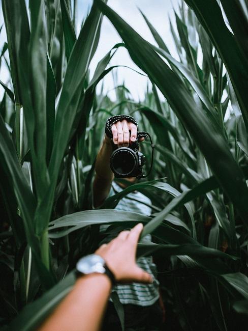Fotografia artystyczna: mężczyzna z aparatem w polu kukurydzy