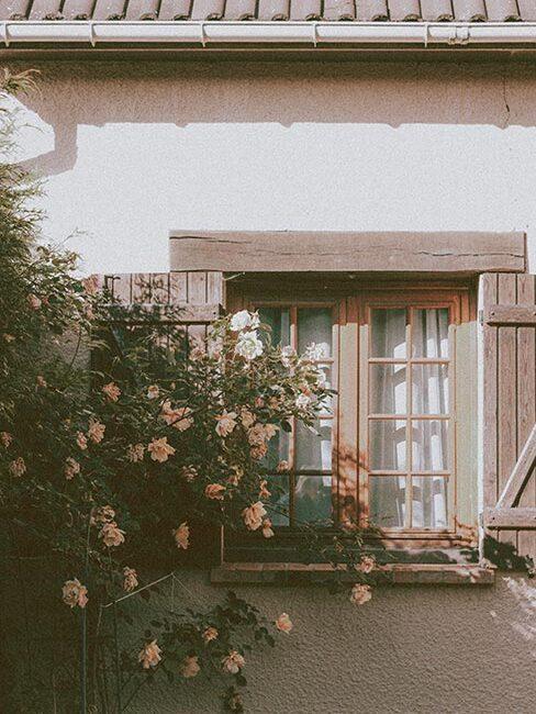 drewniana rama okienna z kwiatami