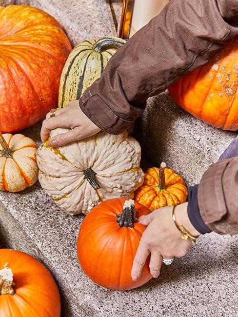 dynie różnego koloru