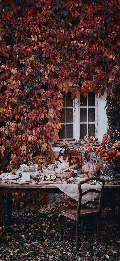 jesienne tapety: różnokolorowe liście winorośli pnące się po domu przed którym stoi zastawiony stół