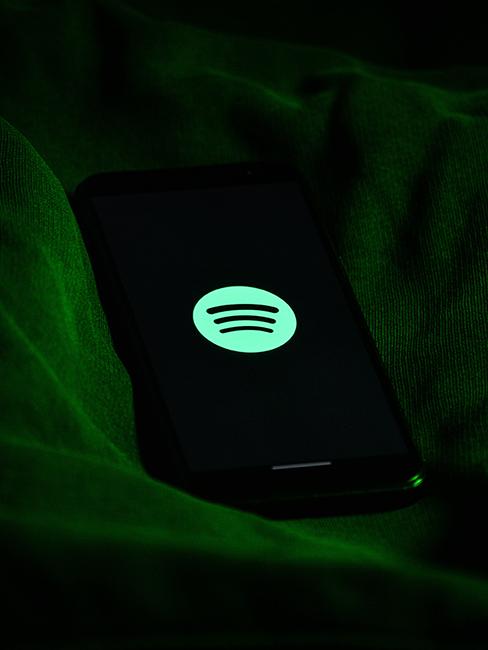 piosenki świąteczne: Logo Spotify
