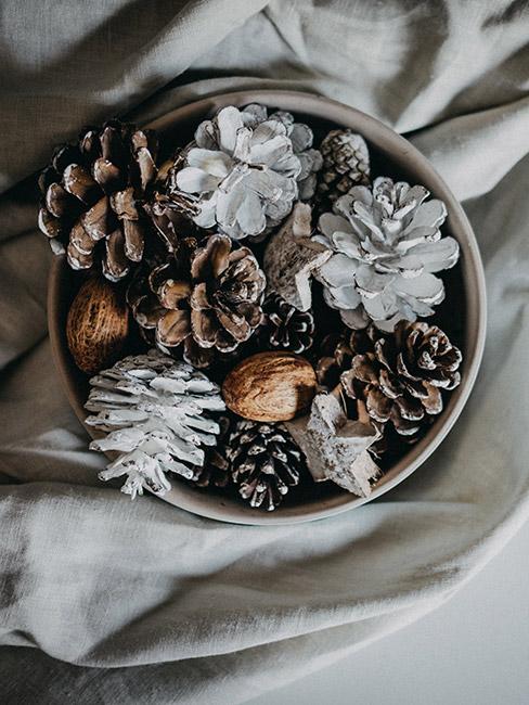 Miseczka z szyszkami które pomalowanymi na biało, orzechami i liśćmi