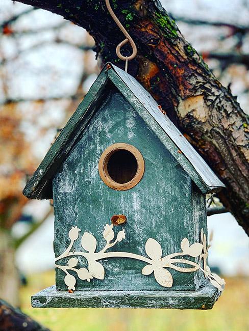 Domek dla ptaków zaczepiony o gałąź