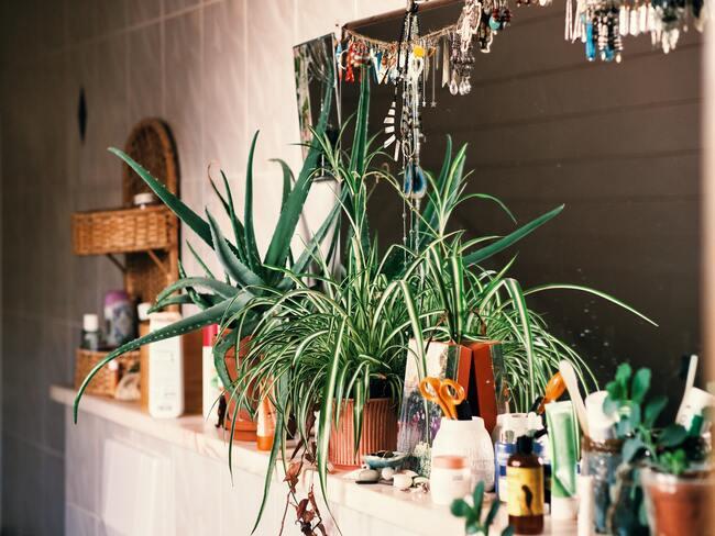 Pólka łazienkowa z lustrem ozdobiona kolorowymi wisiorkami i zielonymi roślinami