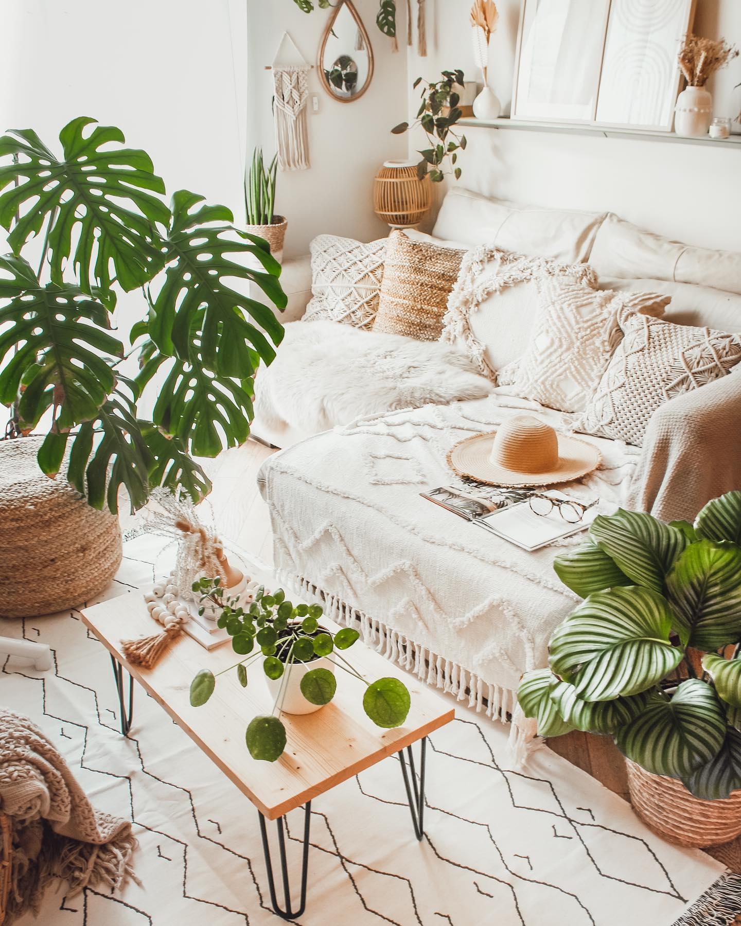 Jasny salon boho z wielką monsterą i innymi roślinami