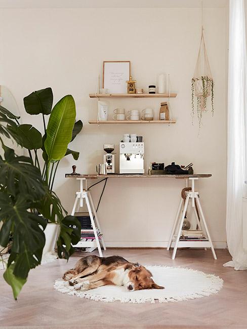 biurko diy Biurko DIY w pokoju w beżowych odcieniach z zieloną rośliną