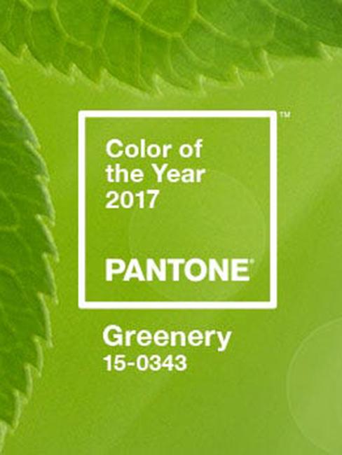 Próbka koloru roku Pantone 2017 Greenery