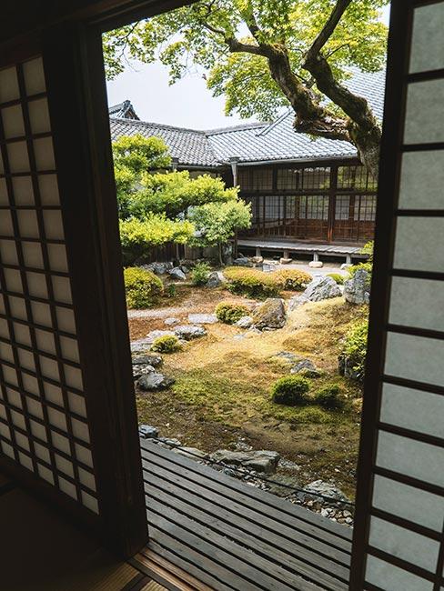 wewnętrzny ogród w stylu japońskim