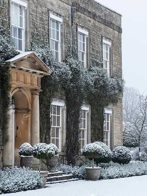 ośnieżony dom pokryty roślinami pnącymi się