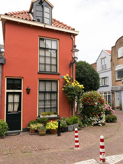 rośliny i doniczki przed domem w kolorze terakoty