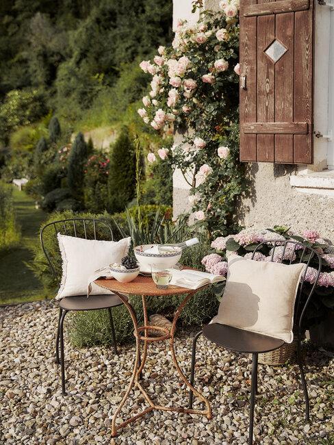 Ogródek przed domem z meblami z metalu i płożącą różą