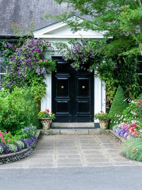 Ogródek przed domem z roślinami i krzewami