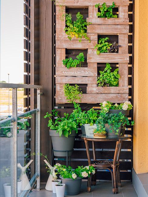 jak urządzić balkon z wertykalnym ogrodem