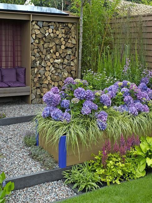 jak urządzić balkon z apopmocą kwiatów hortensji w rabacie