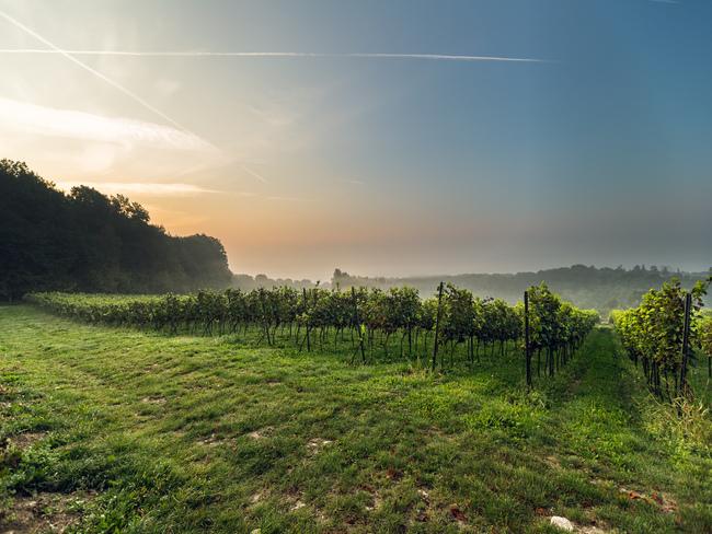 Widok z Winnicy Srebrna Góra