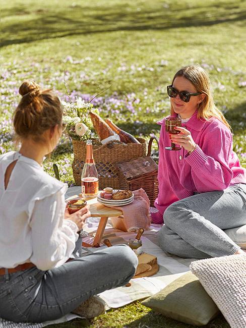 dwie kobiety na pikniku w parku