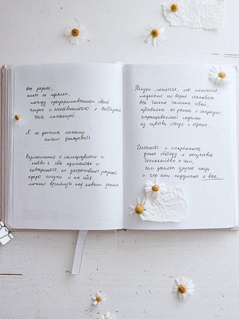 dziennik ze stokrotkami dookoła