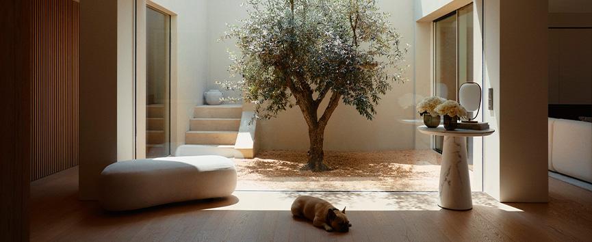 Dom Delii w Portugalii