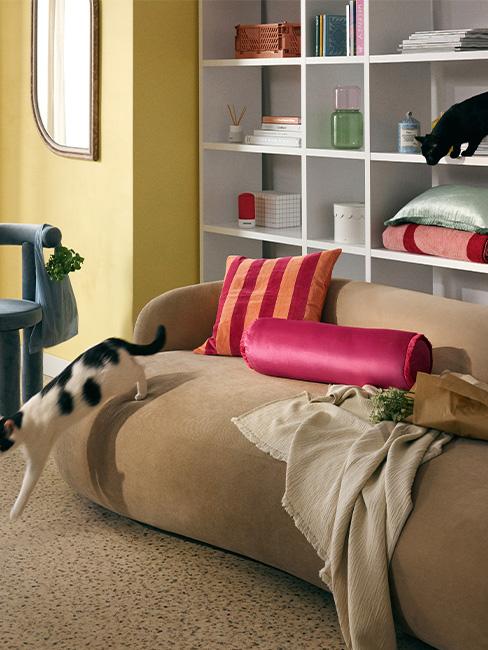 kolorwe dodatki w nowoczesnym wnętrzu