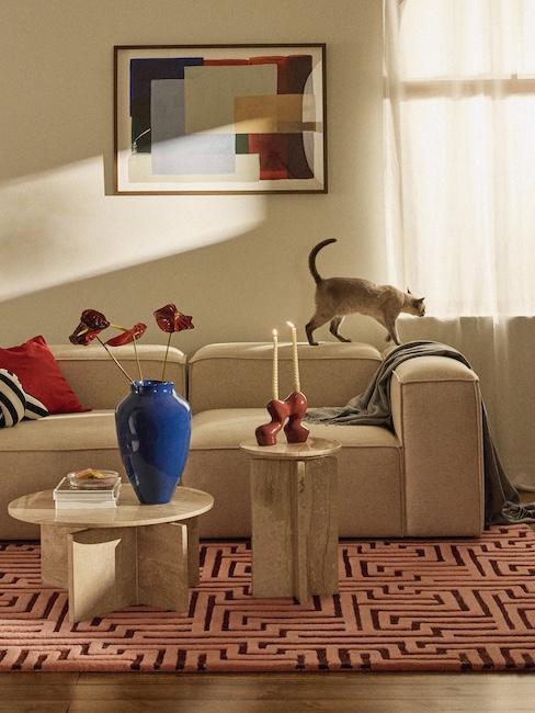 Sala-de-estar-moderna-com-gato