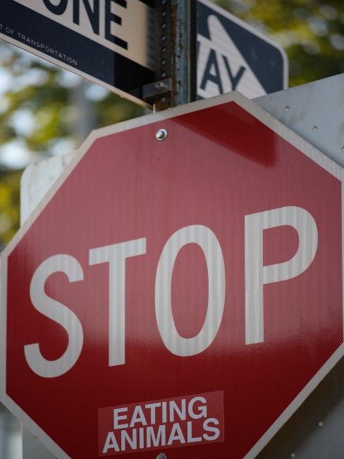 stop jedeniu zvierat - vegánstvo