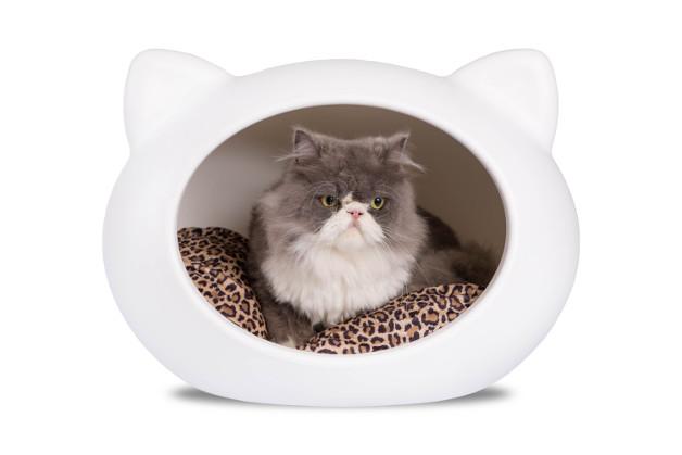 guisapet cat bed
