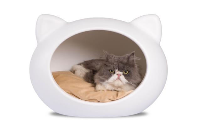 guisapet cat bed
