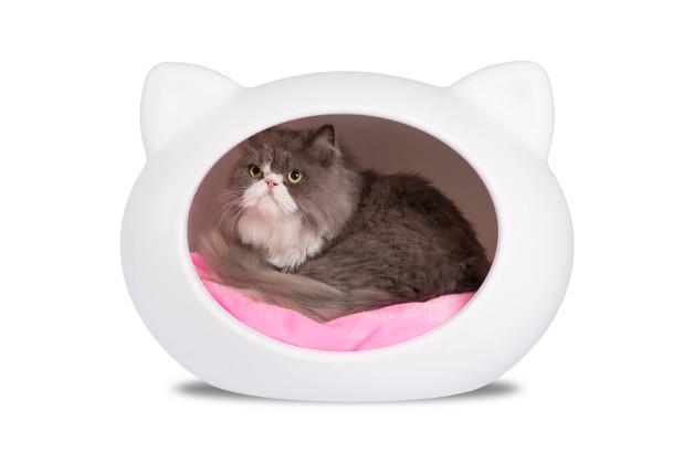 guisapet cat bed
