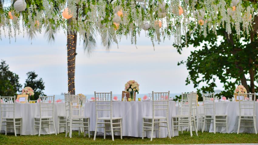Sillas para bodas