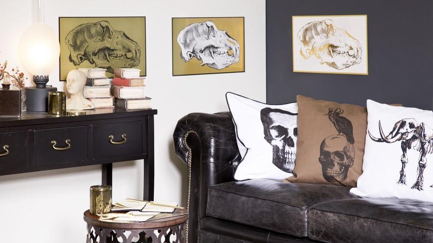 cojines de calaveras