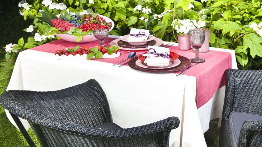 Fauteuil de jardin et table avec des fruits d'été