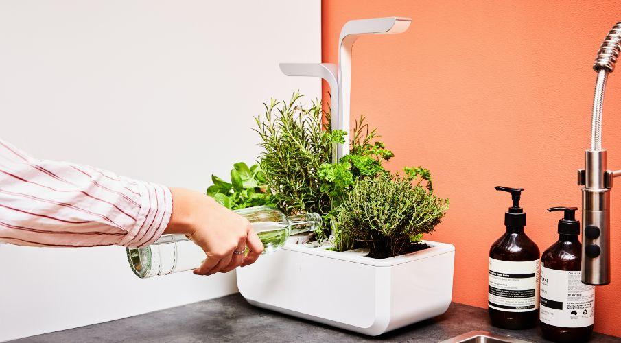 jardiniere blanche de cuisine pour aromatiques
