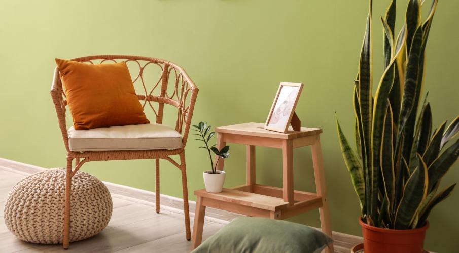 Tabouret escabeau bois clair, salon vert sauge, chaise, plante