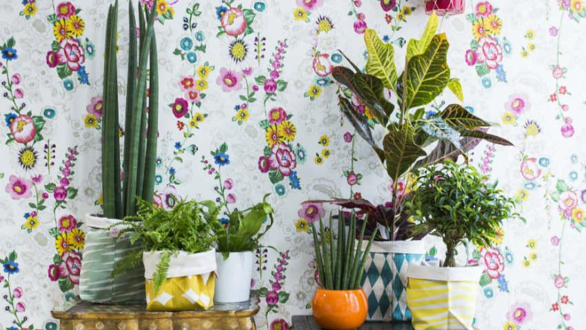 decorazioni murali
