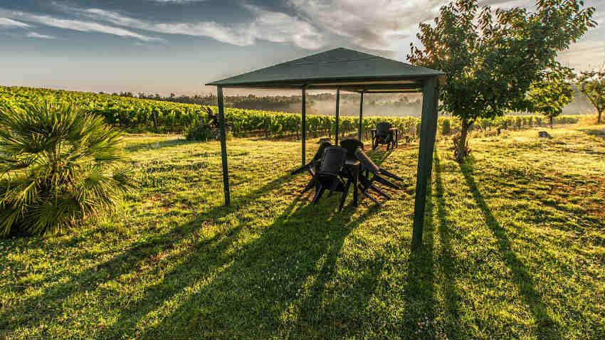 gazebo in alluminio