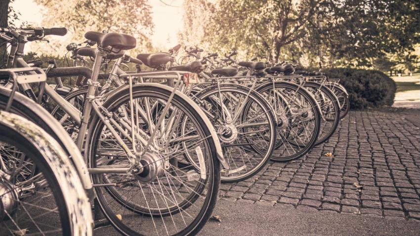 bicicletta freestyle