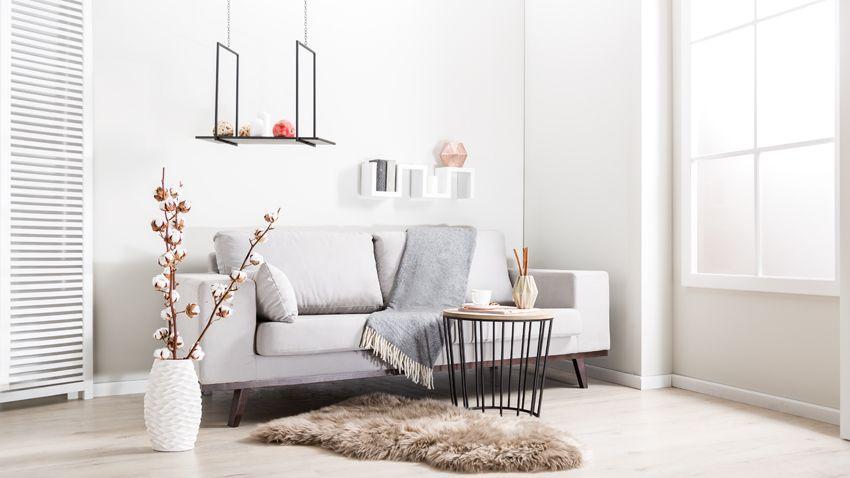 divani in stile scandinavo tavolino tappeto vaso accessori