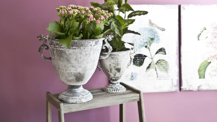 grote planten in brocante interieur