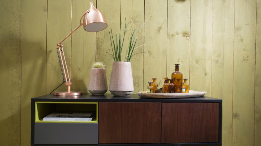 mini cactus in retro interieur